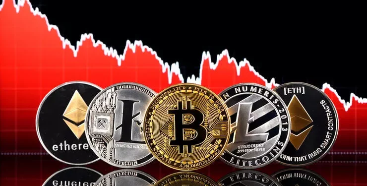 636b48892af1071948f29d55