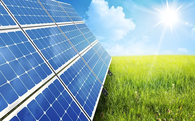 Çimsa, Alfa Solar Enerji ve Koza Madencilik BIST 50 endeksinden çıkarıldı! | Rota Borsa