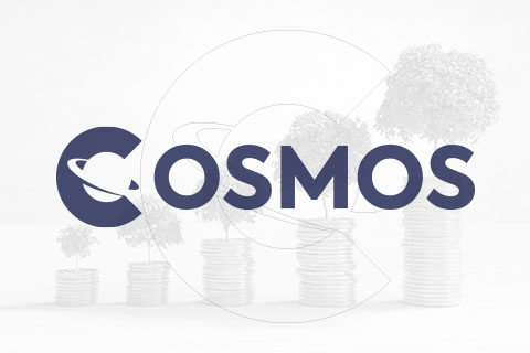 Cosmos Yatırım Holding'den ek sözleşme açıklaması HABERLER Rota Borsa