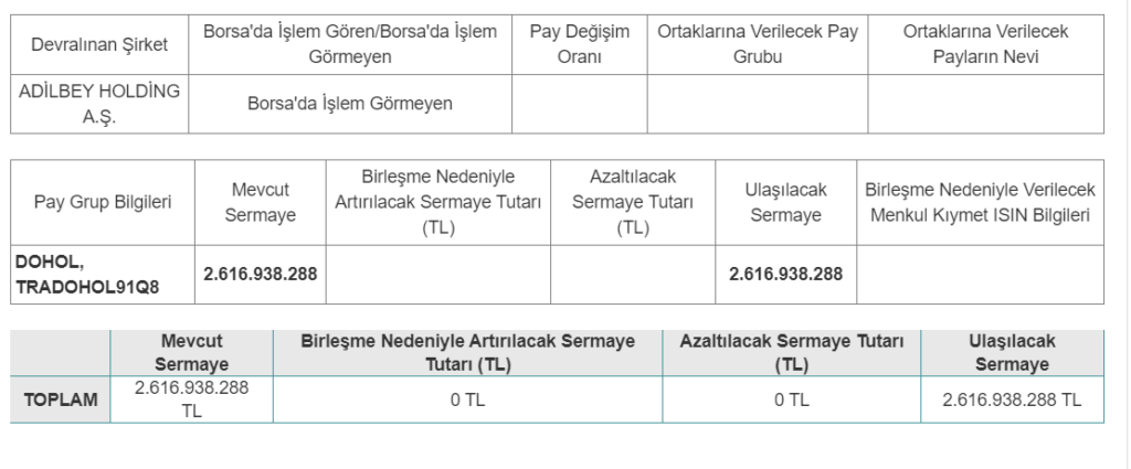 Doğan Holding'den birleşme açıklaması | Rota Borsa