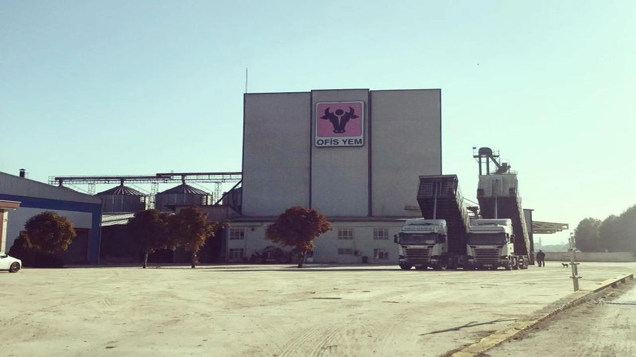 Borsada son bir yılda en çok kaybettiren hisseler | Rota Borsa