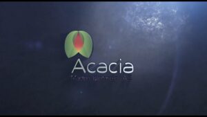 Acacia Maden halka arz oluyor! HALKA ARZ ONAYI BEKLEYEN ŞİRKETLER Rota Borsa