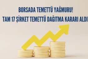 temettü görsel-2
