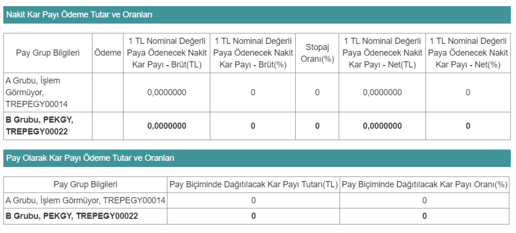 Peker GYO (PEKGY) 2024 yılı temettü kararını açıkladı! | Rota Borsa