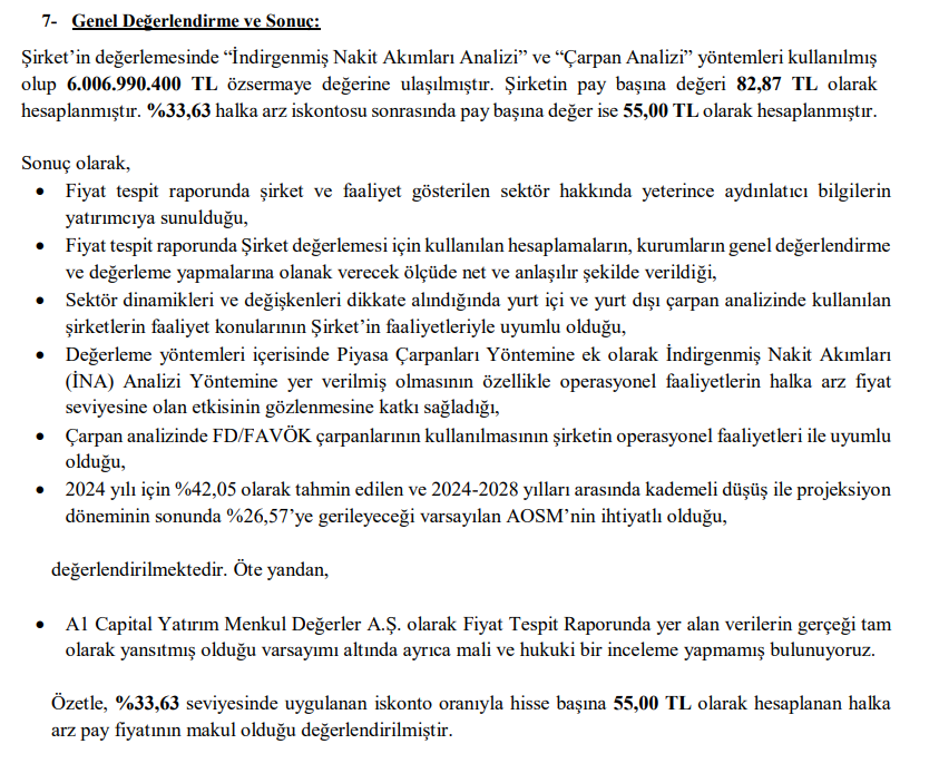 A1 Capital'den Horoz Lojistik (HOROZ) halka arz fiyatı yorumu | Rota Borsa