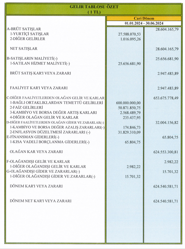 Doğu Aras Enerji (ARASE) 2024 yılı 2.çeyrek VUK kayıtlarında geçen net kârını açıkladı! | Rota Borsa
