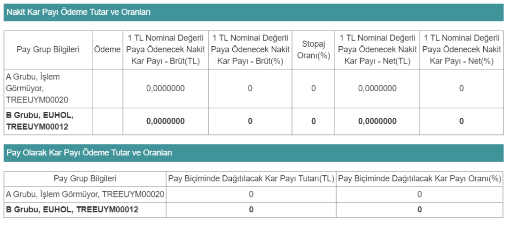 Euro Yatırım Holding (EUHOL) 2024 yılı temettü kararını açıkladı! | Rota Borsa