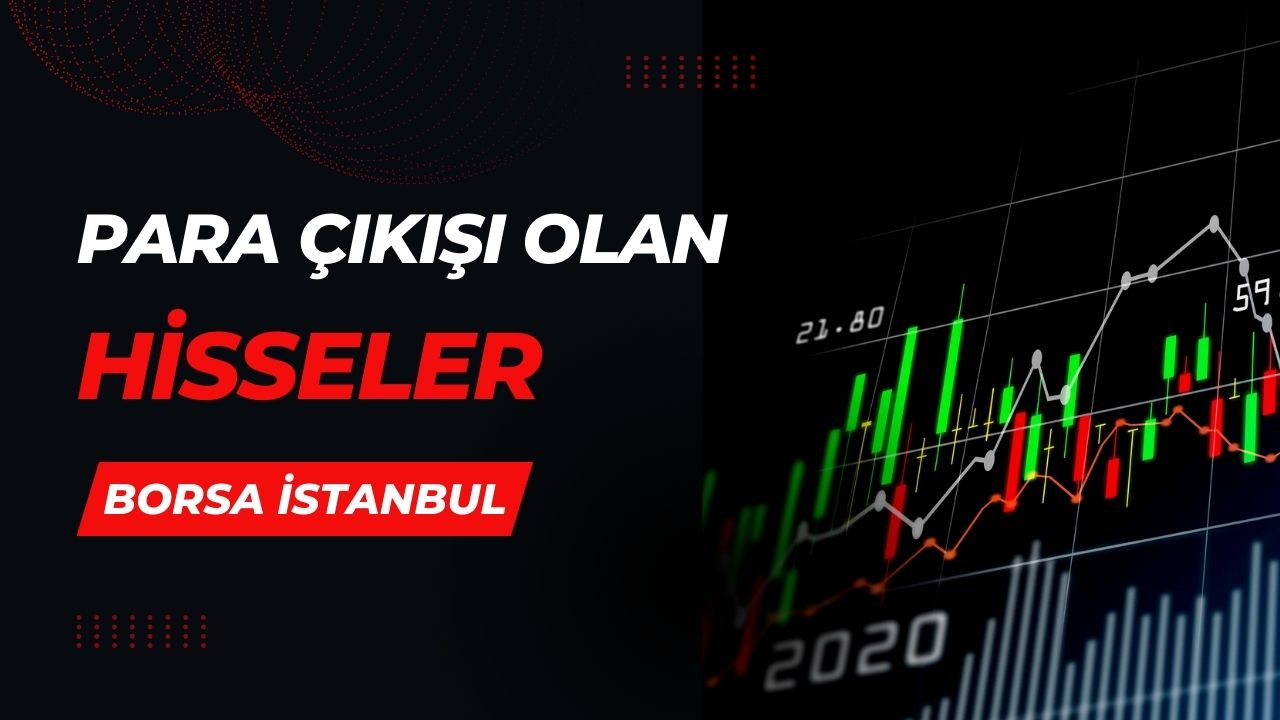 para çıkışı (4)