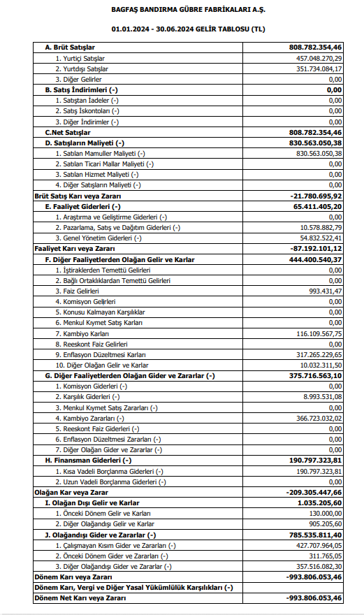 Bagfaş (BAGFS) 2024 yılı 2. çeyrek VUK kayıtlarında geçen net zararını açıkladı! | Rota Borsa