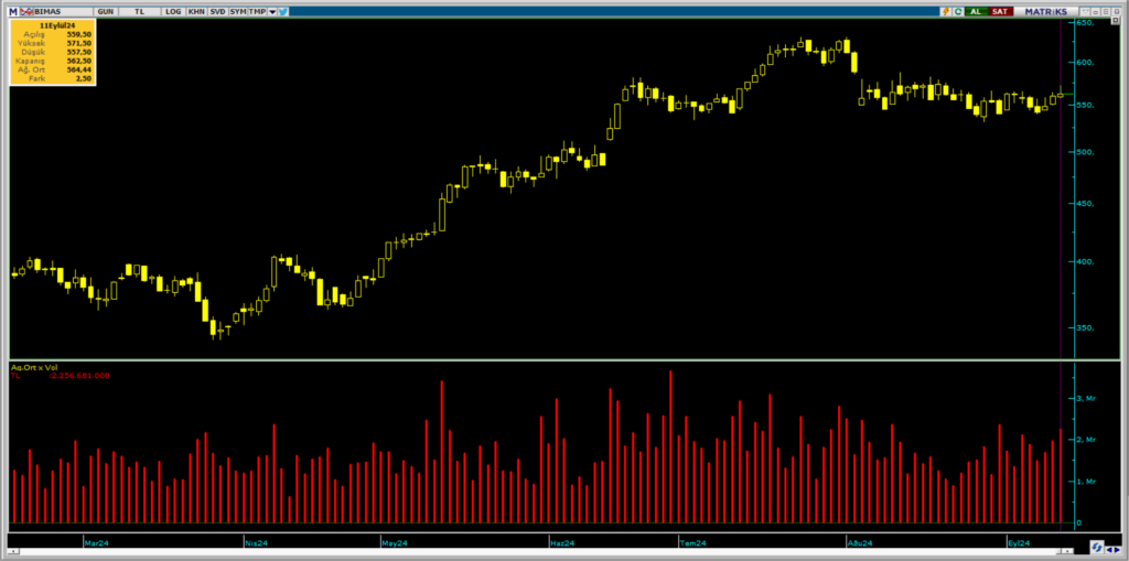 Yapı Kredi Yatırım ve İnfo Yatırım üzerinden BİM hisselerinde yüklü alım | Rota Borsa