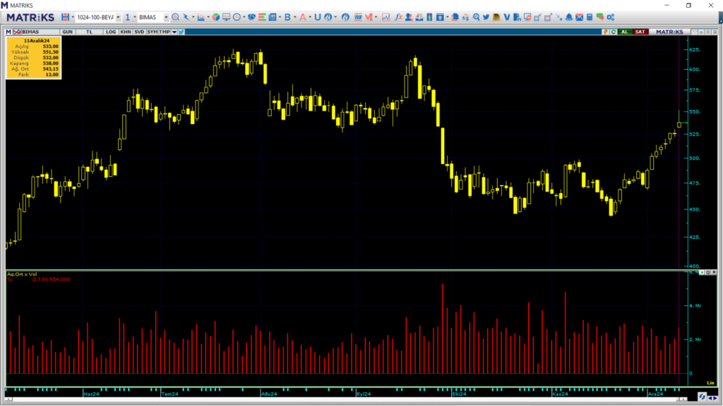 Ünlü Menkul ve Halk Yatırım üzerinden BIMAS hisselerinde yüklü alım | Rota Borsa