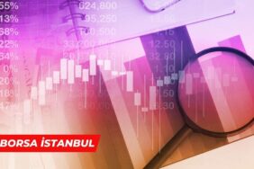borsa 194