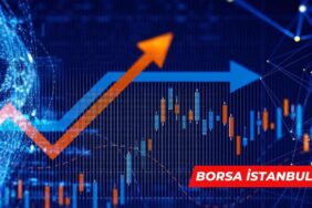 borsa 207 rota