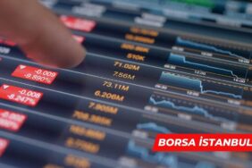 borsa 219
