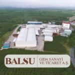 balsu2