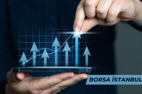 borsa 284