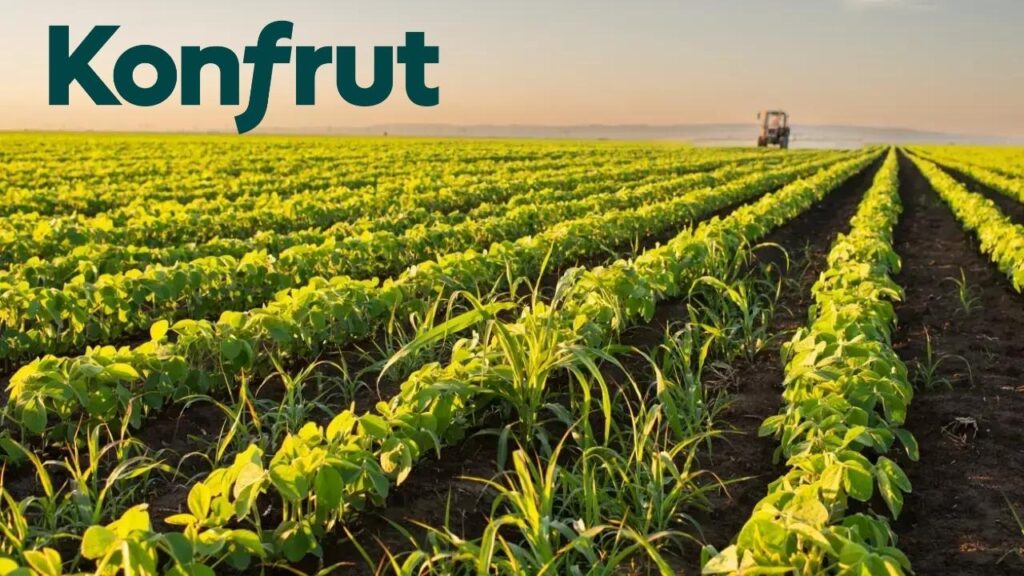 Bugün yeni iş ilişkisi açıklayan 6 şirket | Rota Borsa