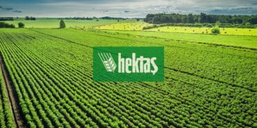 hekts (2)