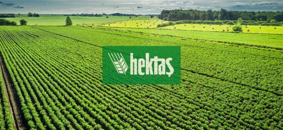 hekts (2)