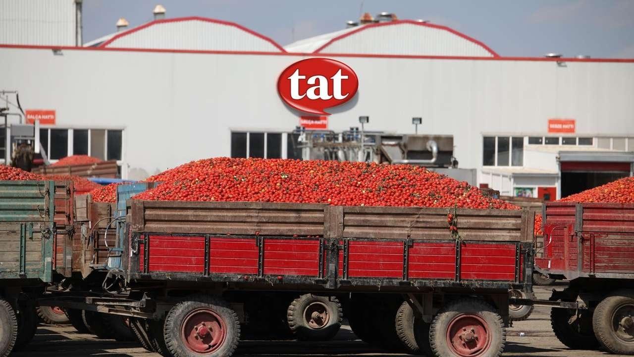 Tat Gıda (TATGD) 2026 2. çeyrek bilançosu beklentiyi karşıladı mı? | Rota Borsa