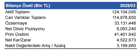 Türkiye Sigorta (TURSG) 2025 1. çeyrek bilanço yorumu | Rota Borsa