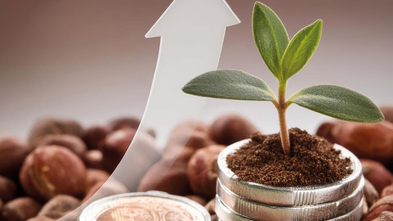 Bugün temettü veren 2 hissenin fiyatında düzeltme yapıldı | Rota Borsa