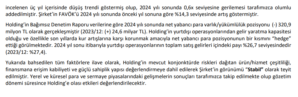 Anadolu Grubu Not Görselleştirmesi