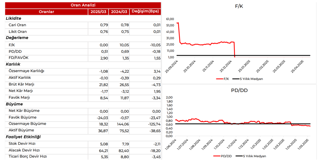 Sabancı Holding (SAHOL) 2025 1. çeyrek bilanço yorumu | Rota Borsa