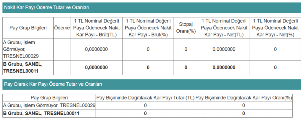 San-El Mühendislik (SANEL) temettü kararını açıkladı | Rota Borsa