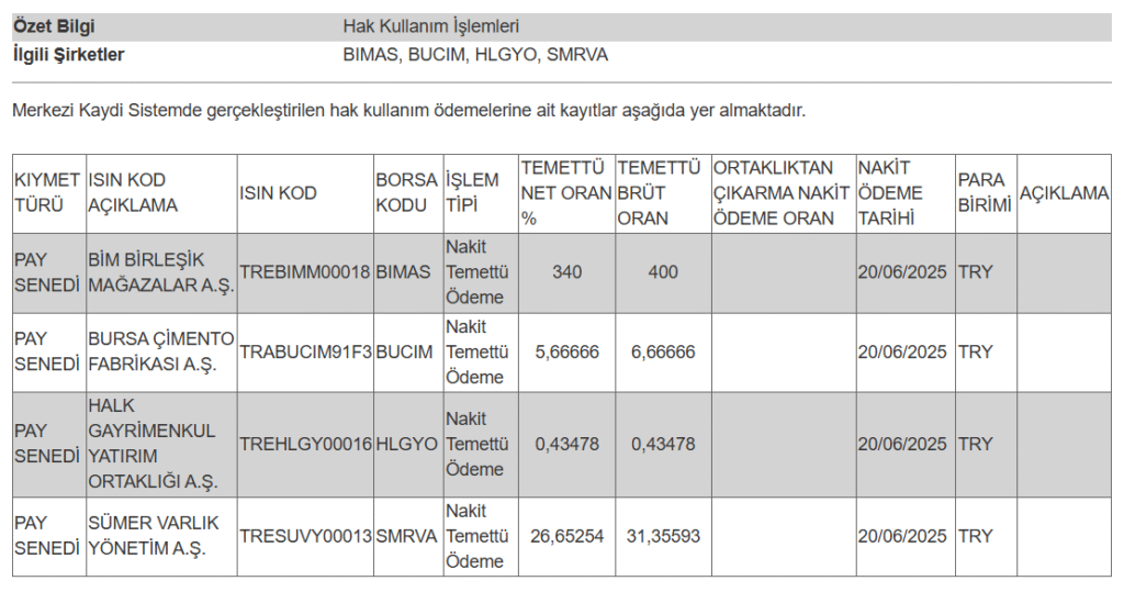 temettü ödeme tablosu