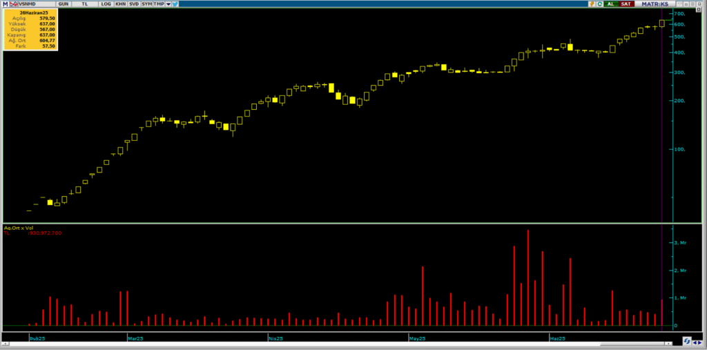 Vişne Madencilik (VSNMD) hisselerinde Tera Yatırım üzerinden yüklü alım | Rota Borsa