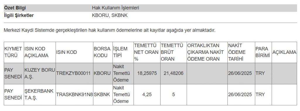 2 şirketin temettü ödemesi hakkında açıklama | Rota Borsa