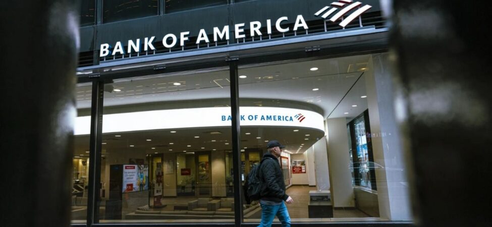 bofa (3)
