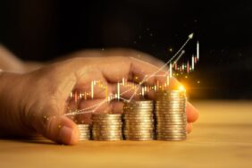 temettü-sermaye (4)