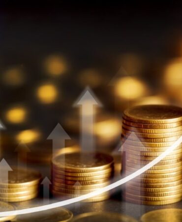 temettü-sermaye (6) giriş