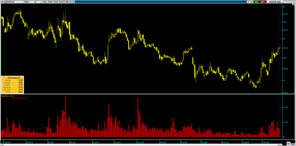 Bank of America (BofA) üzerinden Hektaş (HEKTS) hisselerinde yüklü alım | Rota Borsa