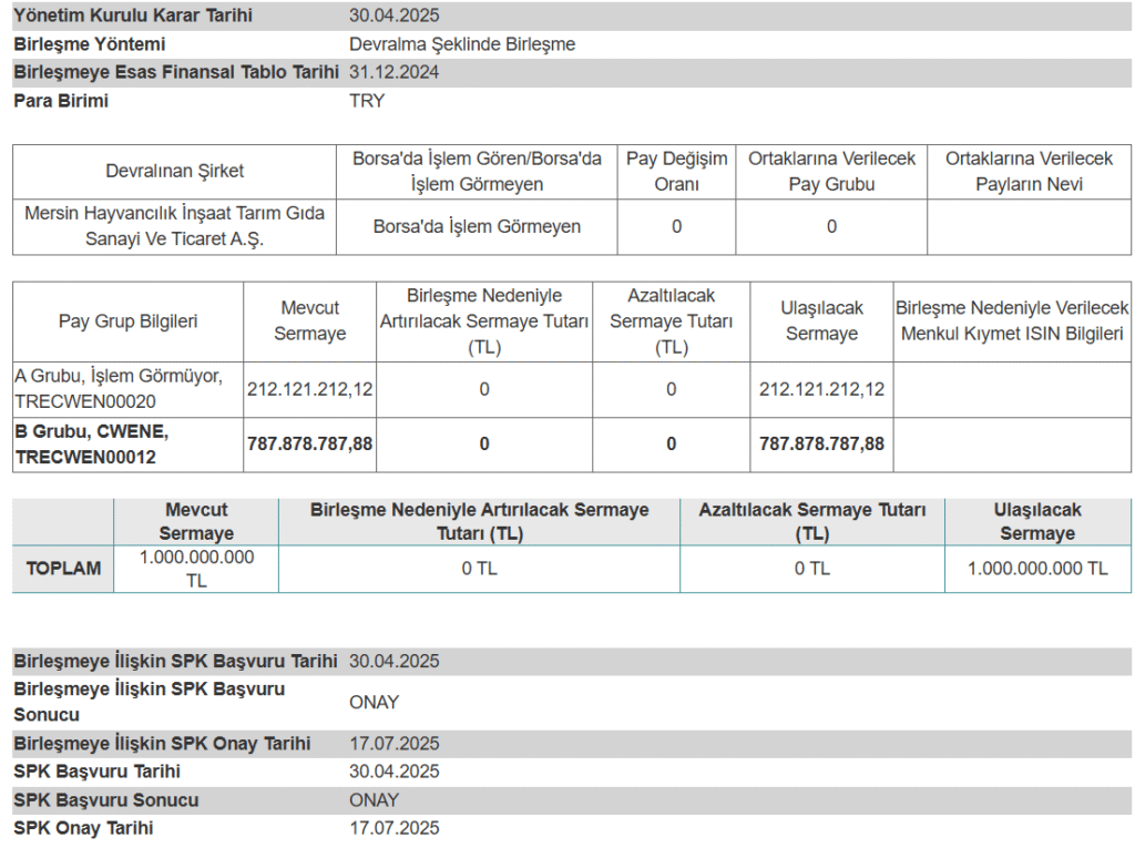 CW Enerji'den (CWENE) birleşme açıklaması | Rota Borsa