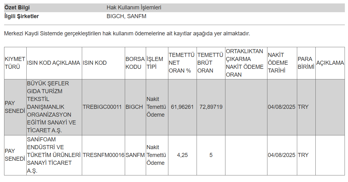 2 şirketin temettü ödemesi hakkında açıklama | Rota Borsa