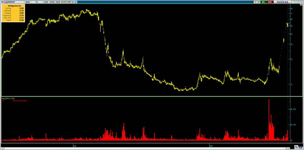 Peker GYO (PEKGY) hisselerinde Tera Yatırım üzerinden yüklü alım | Rota Borsa