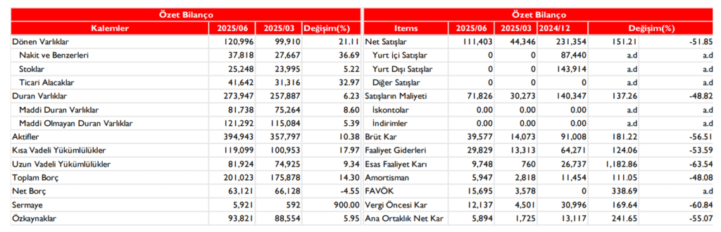 Anadolu Efes (AEFES) 2025 2. çeyrek bilanço yorumu | Rota Borsa