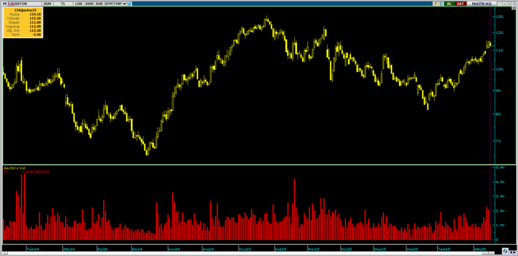 Astor Enerji (ASTOR) hisselerinde 3 kurum üzerinden yüklü alım yapıldı | Rota Borsa