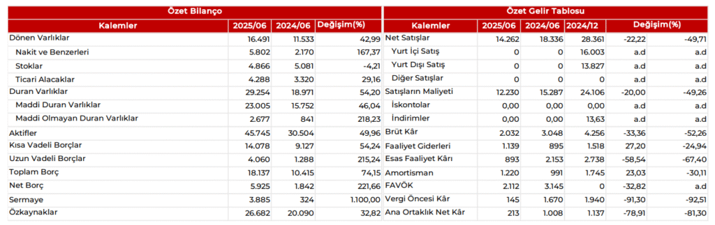 Aksa Akrilik (AKSA) 2025 2. çeyrek bilanço yorumu | Rota Borsa