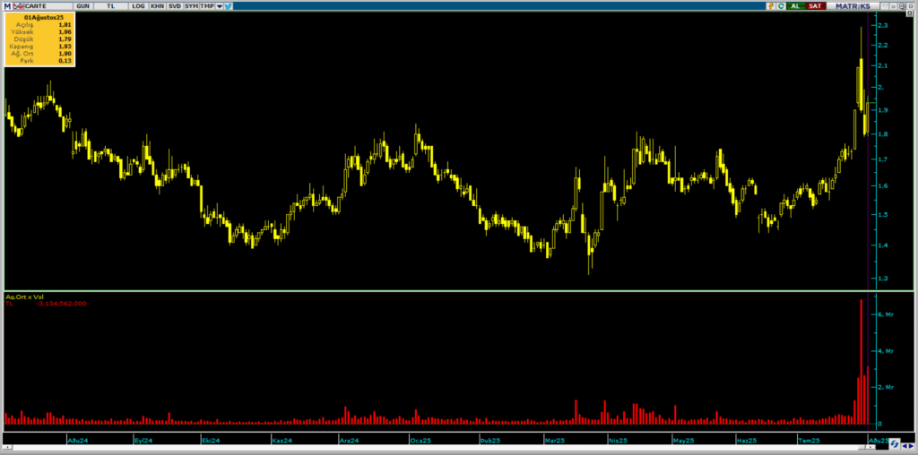 Bank of America (BofA) üzerinden Çan2 Termik (CANTE) hisselerinde yüklü alım | Rota Borsa