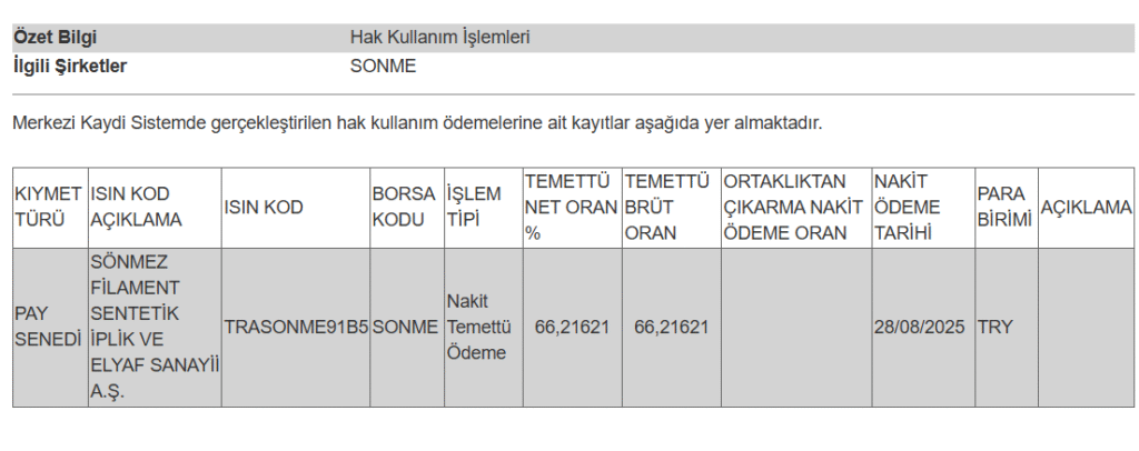 Bir şirketin temettü ödemesi hakkında açıklama | Rota Borsa