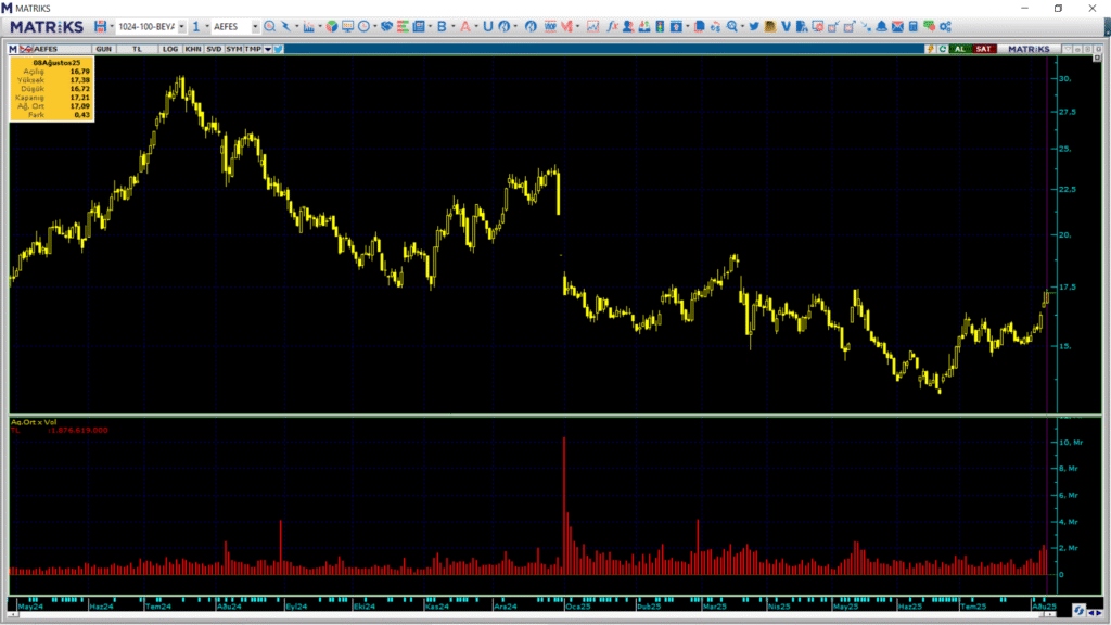 Anadolu Efes (AEFES) hisselerinde 2 kurum üzerinden yüklü alım yapıldı | Rota Borsa