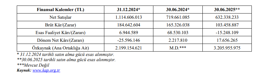 Vişne Madencilik finansal raporu