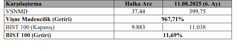 VSNMD hisse senedi performansı