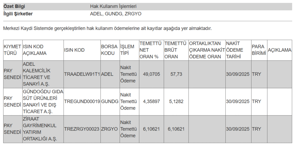 3 şirketin temettü ödemesi hakkında açıklama | Rota Borsa