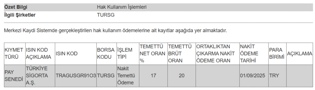 Bir şirketin temettü ödemesi hakkında açıklama | Rota Borsa