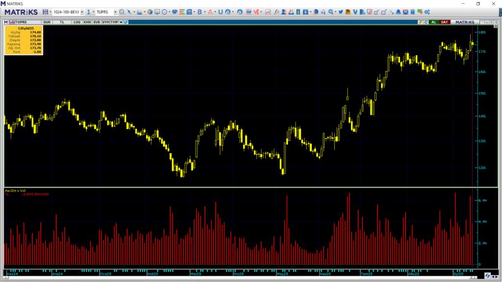 Tüpraş (TUPRS) hisselerinde 3 kurum üzerinden yüklü alım yapıldı | Rota Borsa